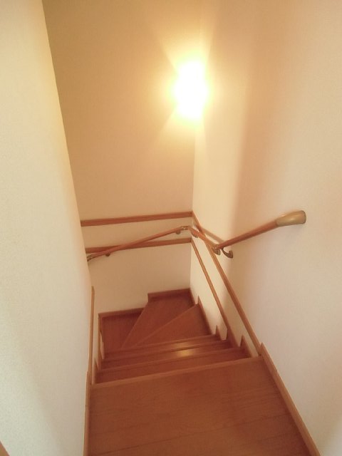 20/30 その他画像