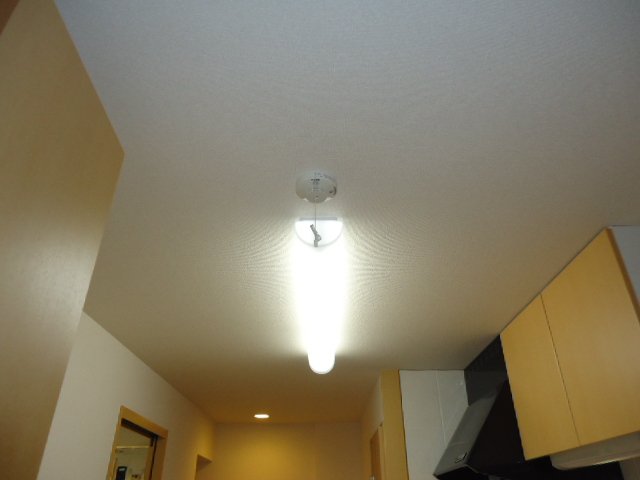 19/25 その他画像