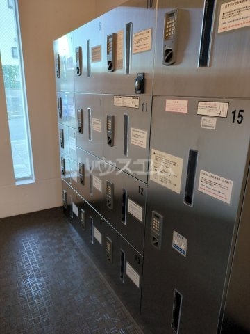 20/30 その他画像