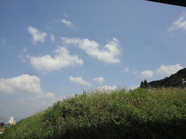 景色