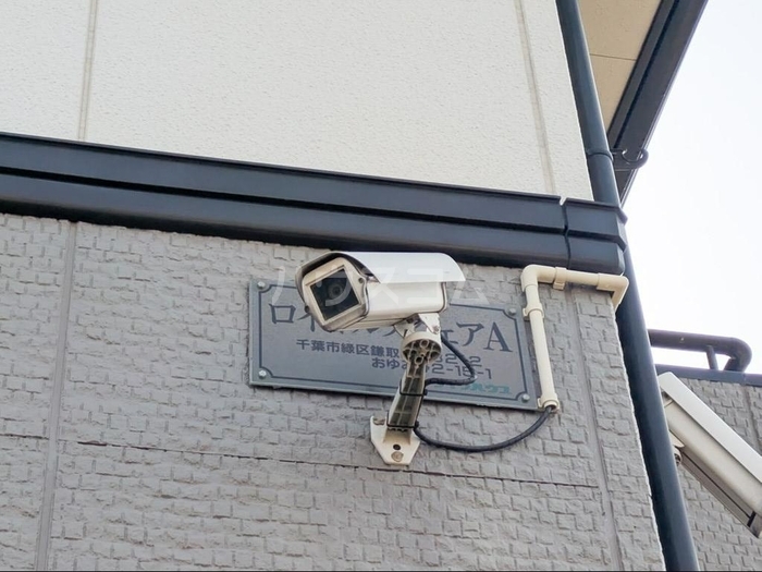 21/25 その他画像