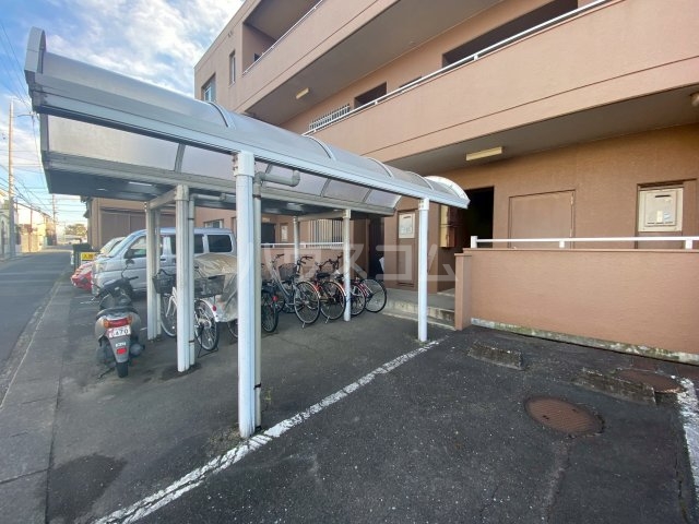 20/30 その他画像