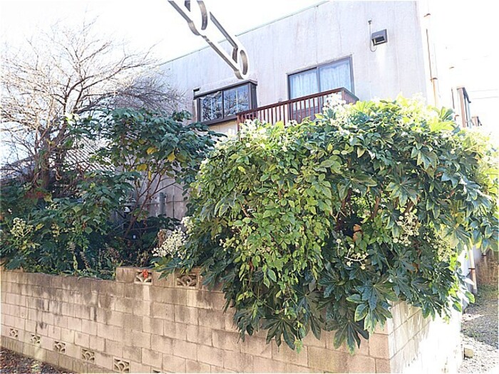 13/21 その他画像