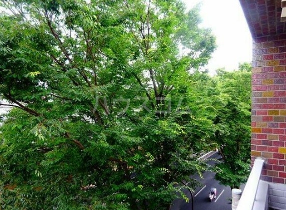 11/15 その他画像