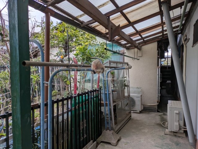 17/20 その他画像