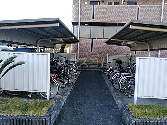 15/25 その他画像