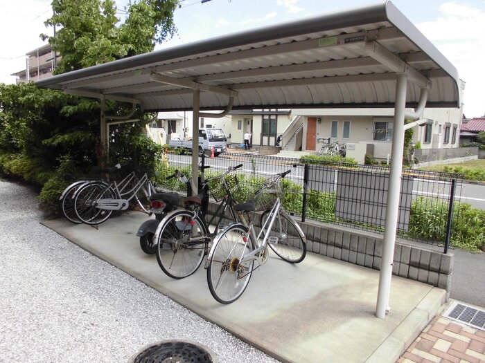 20/30 その他画像