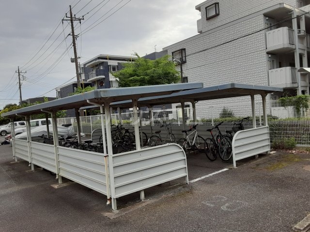 20/30 その他画像