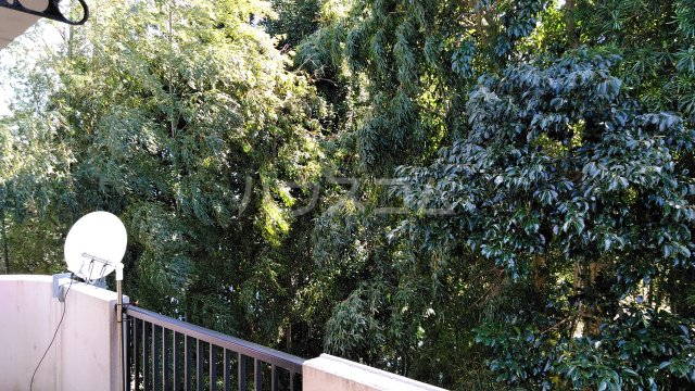 23/29 その他画像