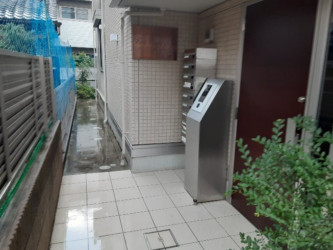 20/30 その他画像