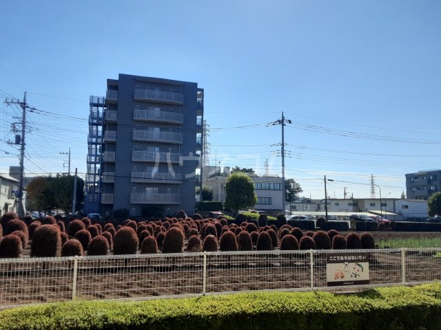 12/21 その他画像