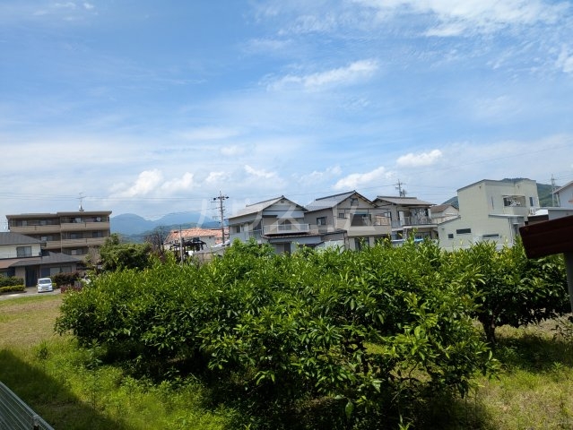 21/26 その他画像