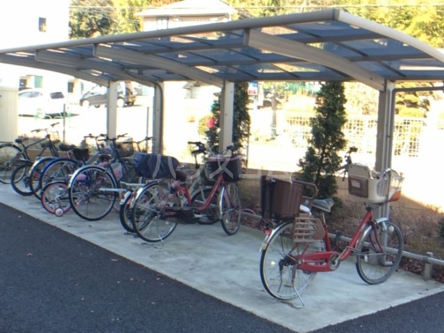 20/30 その他画像