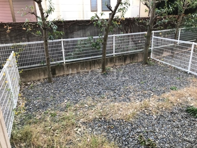 19/28 その他画像