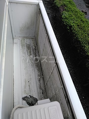 21/25 その他画像