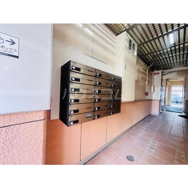 6/17 その他画像