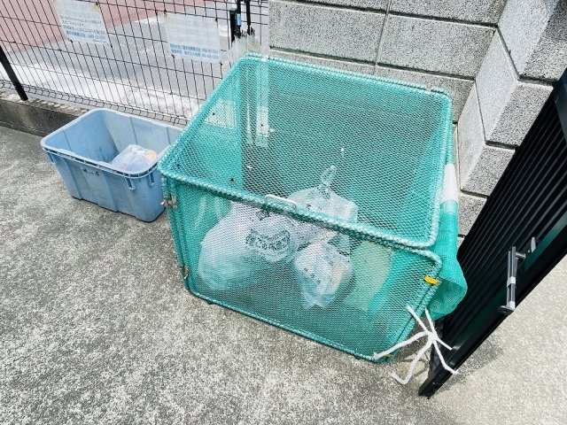 29/30 その他画像