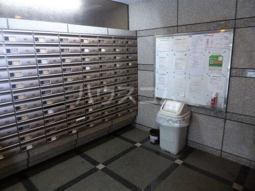 15/19 その他画像