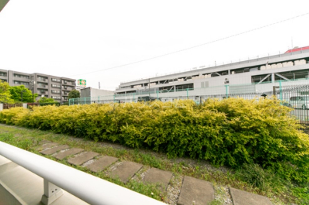 11/25 その他画像