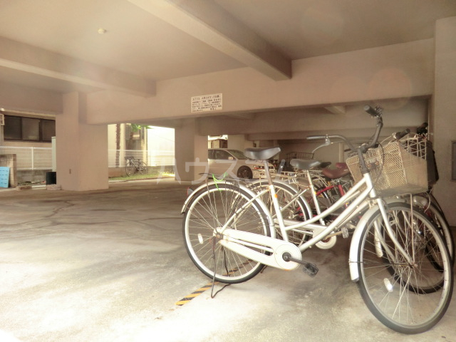 21/26 その他画像