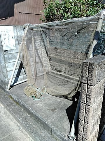 12/22 その他画像