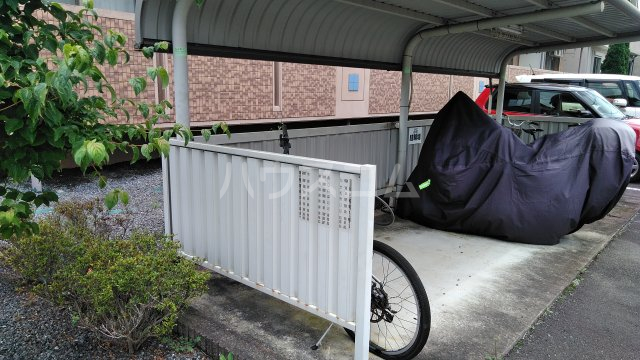 その他共有