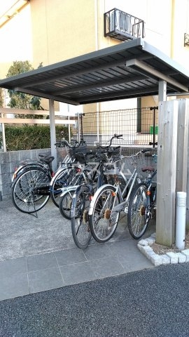 その他共有