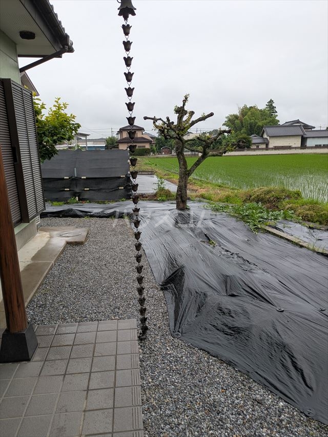 20/25 その他画像