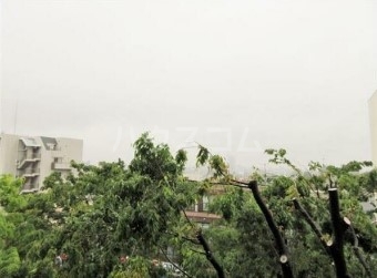 12/25 その他画像