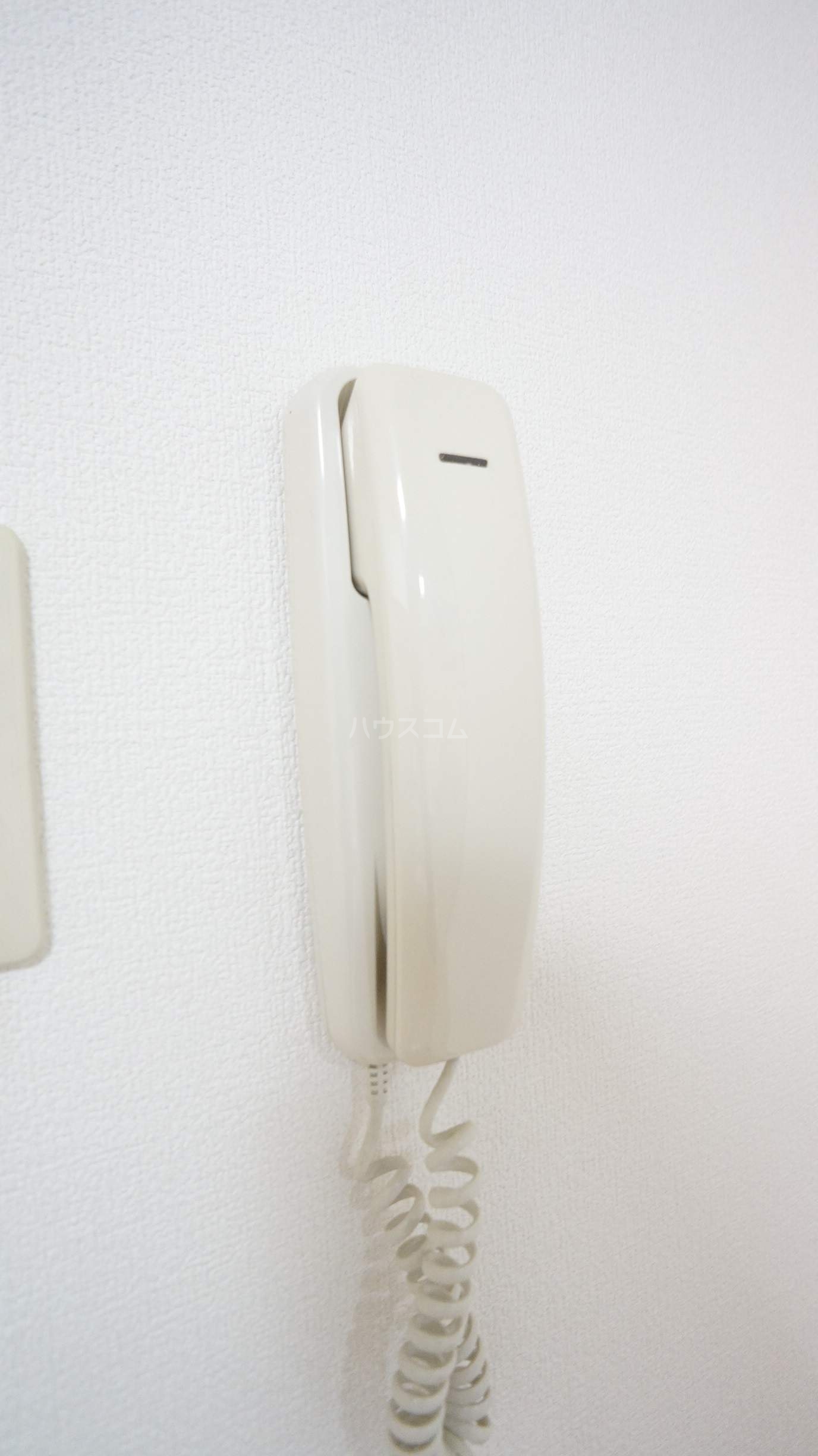 16/19 その他画像