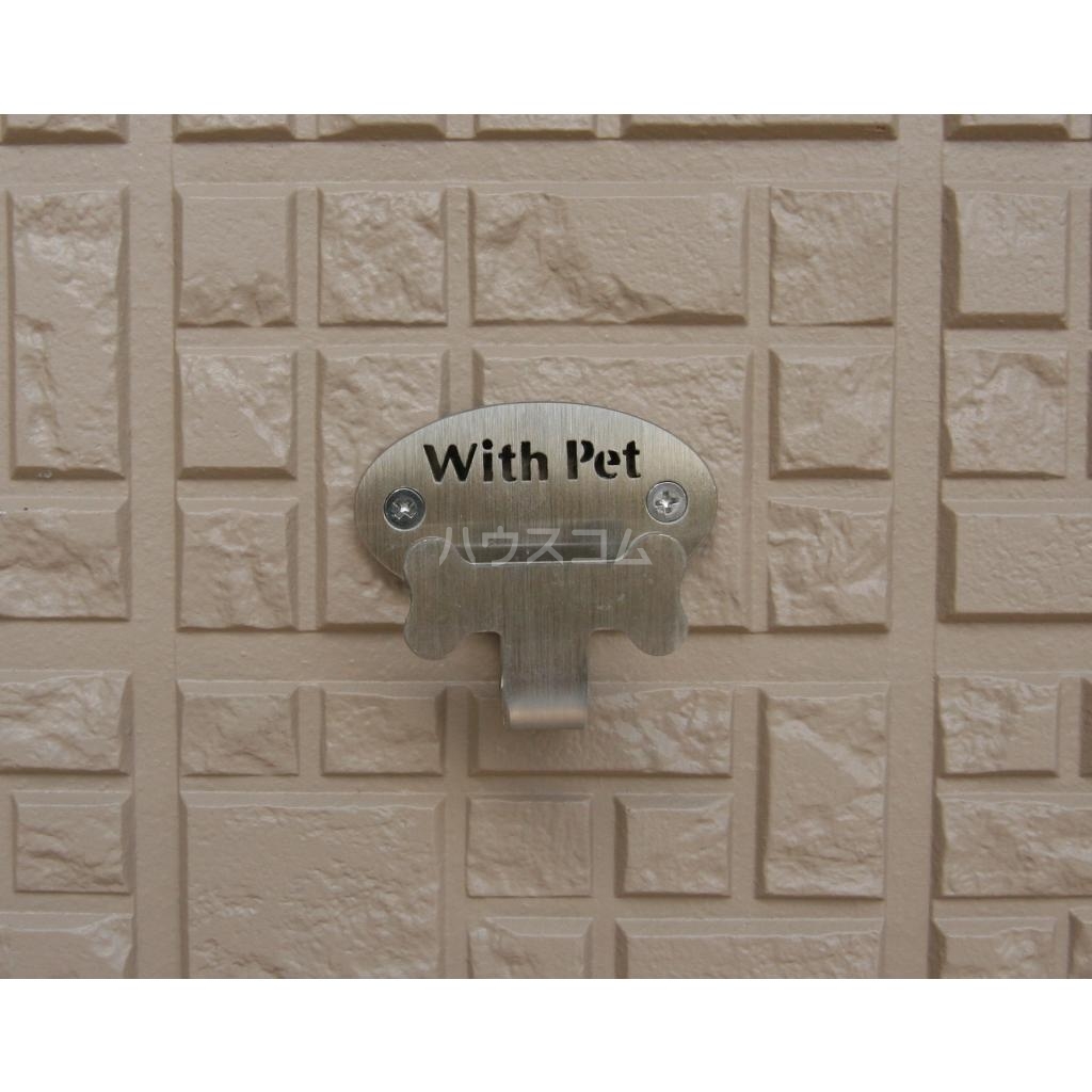 15/16 その他画像