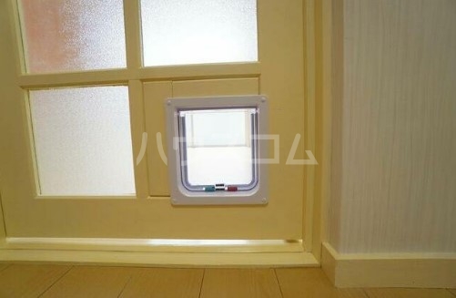 14/20 その他画像