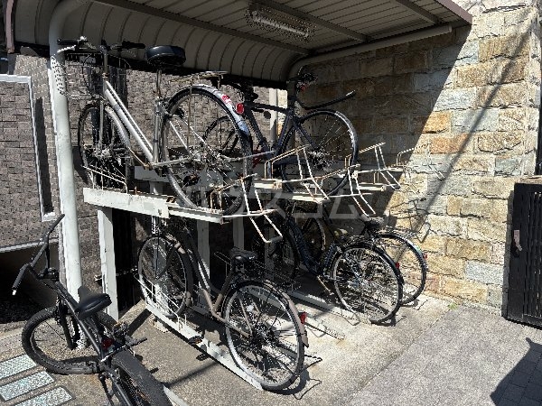 17/25 その他画像