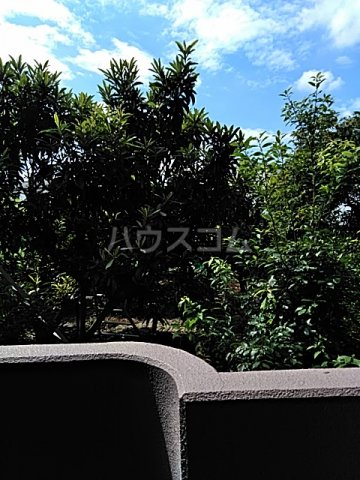 17/26 その他画像