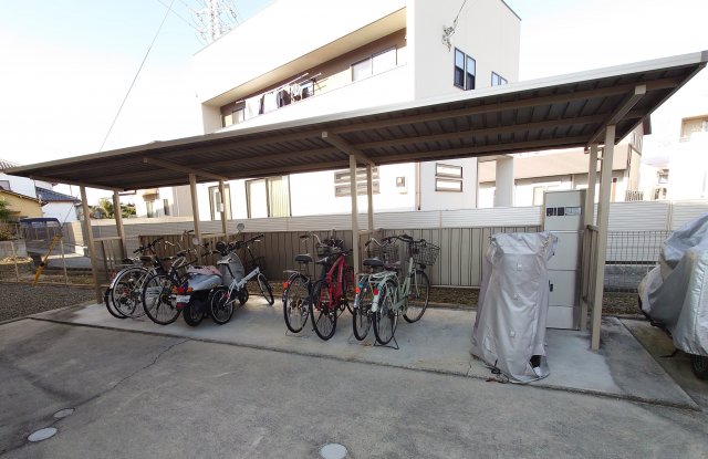 20/30 その他画像