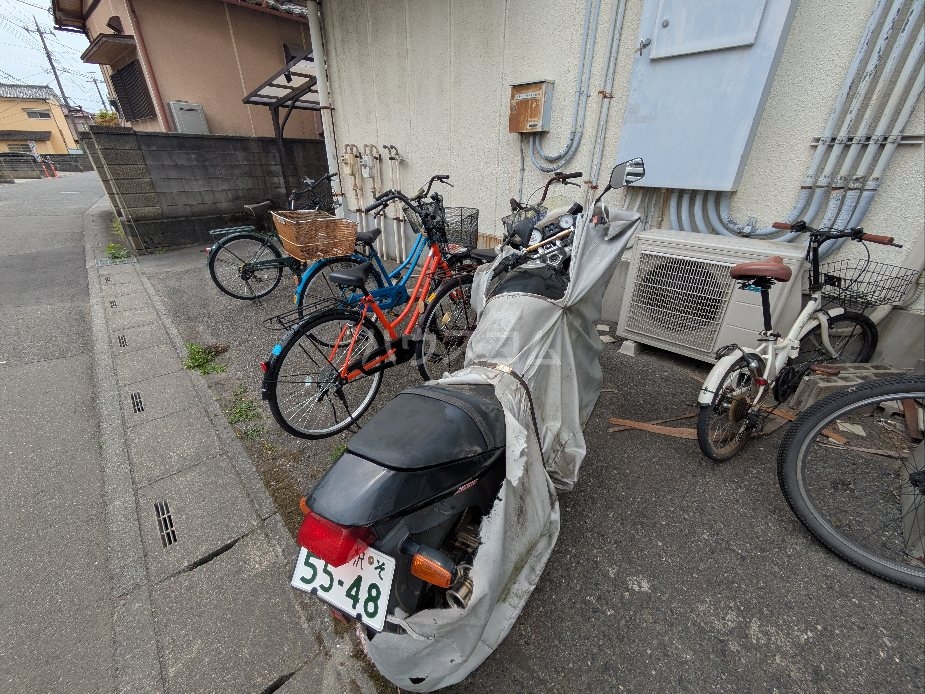 20/30 その他画像