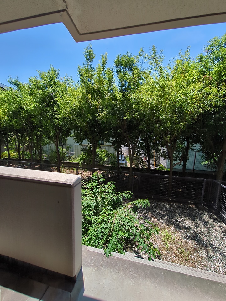 13/17 その他画像