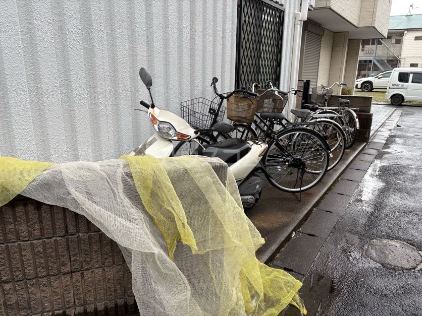 その他画像