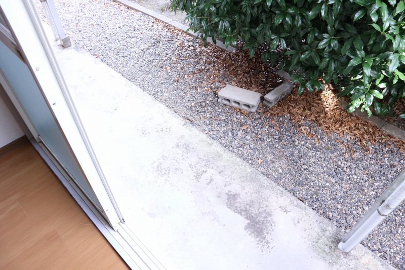 11/21 その他画像