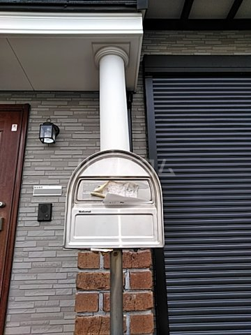 21/24 その他画像