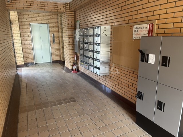 20/30 その他画像