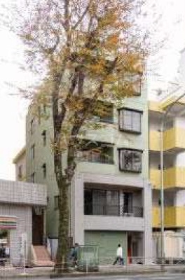 1/30 外観