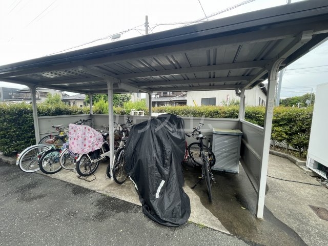 20/30 その他画像