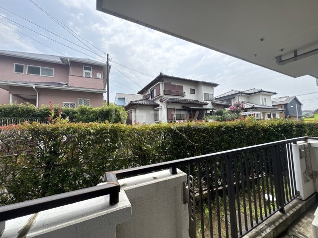景色