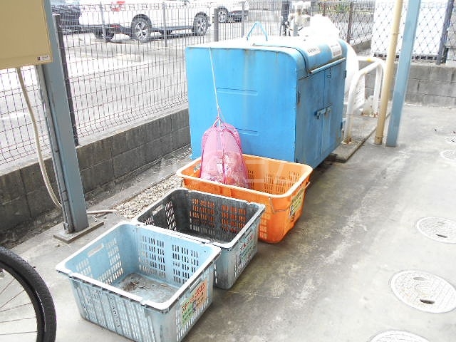 20/30 その他画像