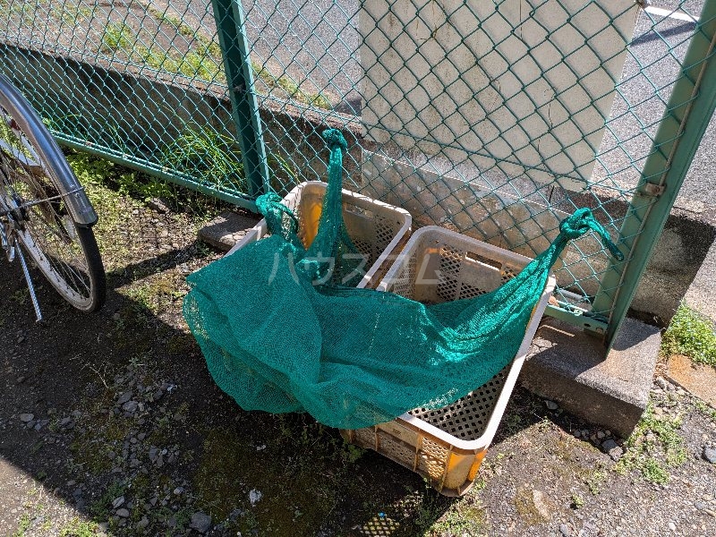 13/17 その他画像