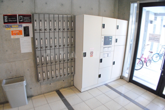 15/29 その他画像