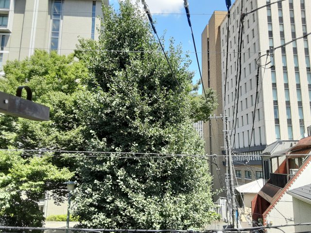 21/29 その他画像