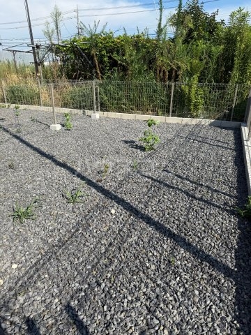 16/25 その他画像