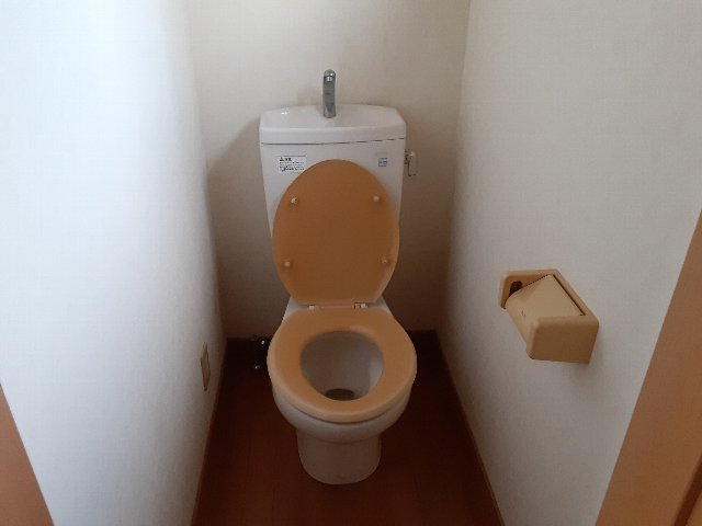 11/28 トイレ